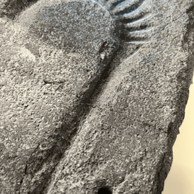 targa braille con immagine a rilievo tattile_fondazione brescia eventi_dettaglio